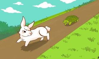 九零小锦鲤，听动物心声升职加薪,解锁职场升职加薪的九零小锦鲤秘诀