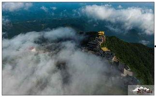 云雾中的孩子,探寻那抹梦幻般的纯真时光