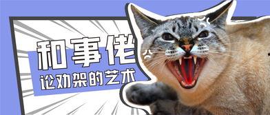 娱乐吃瓜君罗小猫 第3张 娱乐吃瓜君罗小猫 第3张